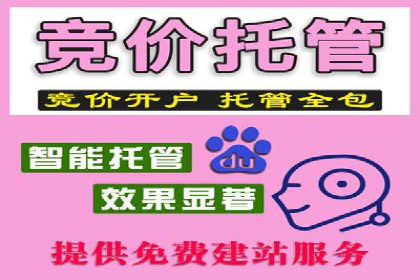揭秘网络推广竞价的成功要素：以某企业为例